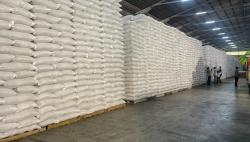 Mentan Ungkap Stok Beras RI Tembus 5,1 Juta Ton, Tertinggi Sepanjang Sejarah