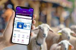 BRI Hadirkan Layanan Kurban Digital di BRImo, Kebaikan dalam Satu Genggaman<