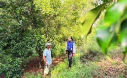 Inspiratif! Mantri BRI di Sulawesi Tenggara Tembus Pegunungan Demi Gerakkan Ekonomi Kerakyatan<