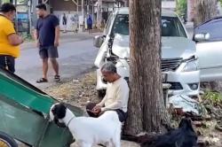 Kecelakaan Mobil Innova Tabrak Gerobak di Ponorogo, 4 Ekor Kambing Mati<