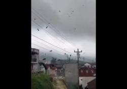 Ngeri! Detik-Detik Puting Beliung Amuk Banjarnegara, 20 Rumah Rusak dan 2 Warga Luka<