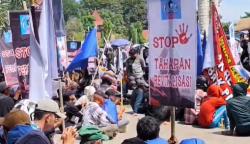 Demo Tolak Revitalisasi Tambak, Petani Indramayu Hadiahi Biawak ke Bupati Lucky Hakim<