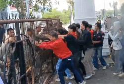 Demo May Day di Palopo Ricuh, Massa Saling Dorong dengan Satpol PP<