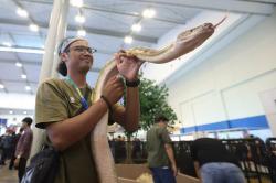 PetFest Indonesia 2026 Hadirkan Petropolis, Kota Imajinatif untuk Para Pecinta Hewan