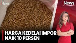 Harga Kedelai Impor Naik Imbas Perang di Timur Tengah, Pasokan Aman