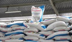 Prabowo Turunkan Harga Pupuk Subsidi 20 Persen untuk Petani