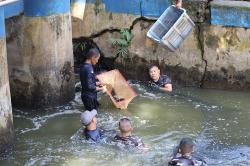 TNI AL Dikerahkan Bantu Basmi Ikan Sapu-Sapu