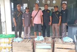 Penyelundupan Burung Maleo Digagalkan di Surabaya, Diduga Libatkan Oknum TNI<