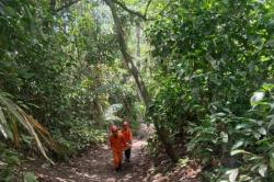20 Pendaki Tersesat dan Terluka saat Gunung Dukono Meletus, Salah Satu WNA Singapura<