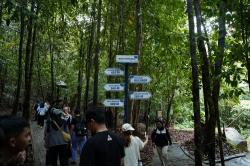Desa Wisata di Belitung Perkuat UMKM dan Daya Tarik Pariwisata