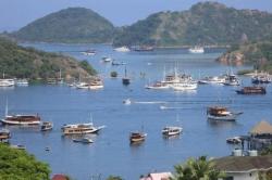 Duh! Pemilik Travel di Labuan Bajo Tipu Wisatawan Rp85 Juta, Turis sampai Telantar<