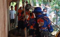 Kronologi Ibu 2 Anak Ditemukan Tewas Dalam Sumur di Grobogan, Dilaporkan Hilang 4 Hari<