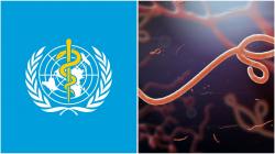 WHO Tetapkan Wabah Ebola sebagai Darurat Global, 80 Orang Meninggal Dunia