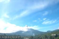 Gunung Ibu Erupsi Hari Ini, Abu Vulkanis Membubung Setinggi 500 Meter ke Langit