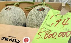 Rekor! Buah Melon Ini Terjual Rp644 Juta dalam Lelang