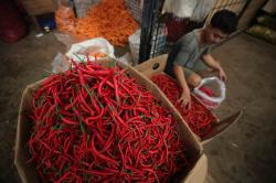 Harga Cabai Meroket Jelang Iduladha