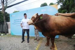 Naik 57 Persen, 24 Ribu Hewan Kurban Didistribusikan BSI