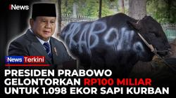 Anggaran Sapi Kurban Presiden Prabowo Capai Rp100 Miliar