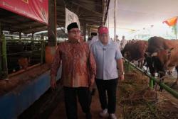 Pemprov DKI Salurkan 210 Sapi Kurban pada Iduladha 2026