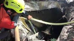 Sapi Kurban di Mojokerto Mengamuk dan Tercebur ke Septic Tank, Evakuasi Dramatis