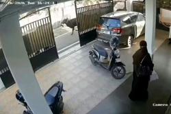 Viral Sapi Kurban Mengamuk di Banjarmasin, Pria 53 Tahun Tewas Terseret Sejauh 50 Meter