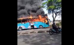 Bus Coyo Terbakar Hebat di Pantura Cirebon, Penumpang Panik Berhamburan