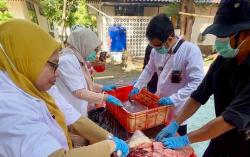 Tak Layak Konsumsi, 19 Kg Jeroan Hewan Kurban di Kepulauan Seribu Dimusnahkan