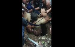 Wanita Obesitas di Situbondo Terperosok Septic Tank Sedalam 4 Meter, Evakuasi Dramatis!