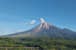 Gunung Semeru Erupsi Pagi Ini, Kolom Abu Membubung 800 Meter dari Puncak