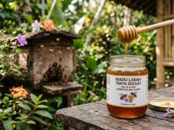 Penemuan Tak Terduga! Madu Lebah Asli Indonesia Ini Mengandung Antikanker