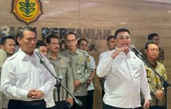 Harga TBS Sawit Anjlok Signifikan, 300 Perusahaan bakal Diperiksa