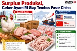 Surplus Produksi, Ceker Ayam RI Siap Diekspor ke China