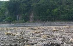 Gempa Dahsyat M7,8 Angkat Dasar Laut Filipina 2 Meter, Ikan-Ikan Mati