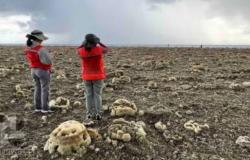 Ini Penyebab Dasar Laut Filipina Terangkat 2 Meter akibat Gempa Dahsyat M7,8