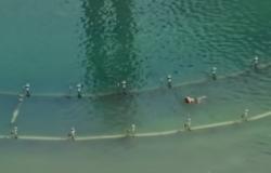 Viral Pria Nekat Berenang di Kolam Bundaran HI, Satpol PP Buka Suara