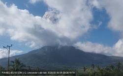 Gunung Lewotobi Laki-laki Erupsi, Muntahkan Kolom Abu Tebal Setinggi 1.000 Meter
