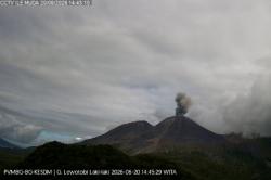 Gunung Lewotobi Laki-laki Erupsi, Muntahkan Abu Vulkanis Setinggi 600 Meter