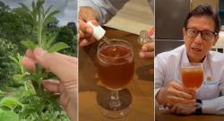 Kurangi Gula? Menkes Sarankan Pakai Pemanis dari Daun Tanaman Ini