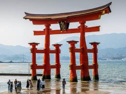 Mulai 1 Juli 2026, Visa Jepang Resmi Naik Drastis Jadi Rp1,7 Juta