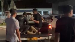 Kecelakaan Tragis di Gowa, Pemotor Kritis Tabrakan dengan Mobil Sigra