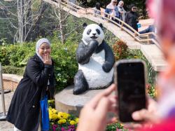 Hong Kong Jadi Destinasi Ramah Muslim Terbaik Kedua Dunia 2026, Surga Wisata Halal di Asia!