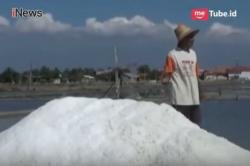 Keputusan Impor Pemerintah Bikin Harga Garam Lokal Anjlok