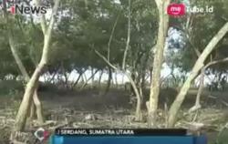 DPRD Nilai Pemerintah Tak Serius Tuntaskan Masalah Tambang di Pantai Labu