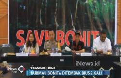 Mangsa 2 Orang di Riau, Harimau Bonita Berhasil Ditangkap