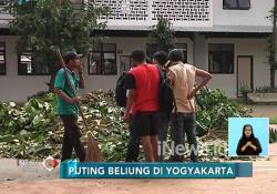 Pascaputing Beliung di Yogyakarta, Warga dan TNI Bersihkan Puing