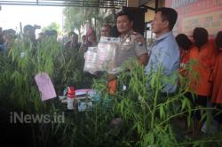 Satuan Reserse Narkoba Polres Malang Kota Ungkap Peredaran Ganja di Lapas