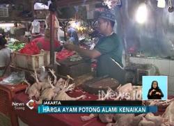 Jelang Ramadan, Harga Ayam Potong dan Telur Merangkak Naik