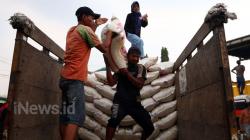 Saat Pandemi Covid-19, Kalbar Surplus Produksi Beras