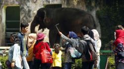 Hari Keempat Libur Panjang, 1.800 Pengunjung Padati Ragunan