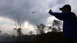 Perjuangan Petugas Memadamkan Kebakaran Lahan Gambut di Dumai